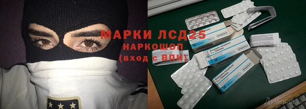a pvp Аркадак