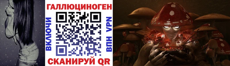 Галлюциногенные грибы Cubensis дарнет шоп ОМГ ОМГ Курган