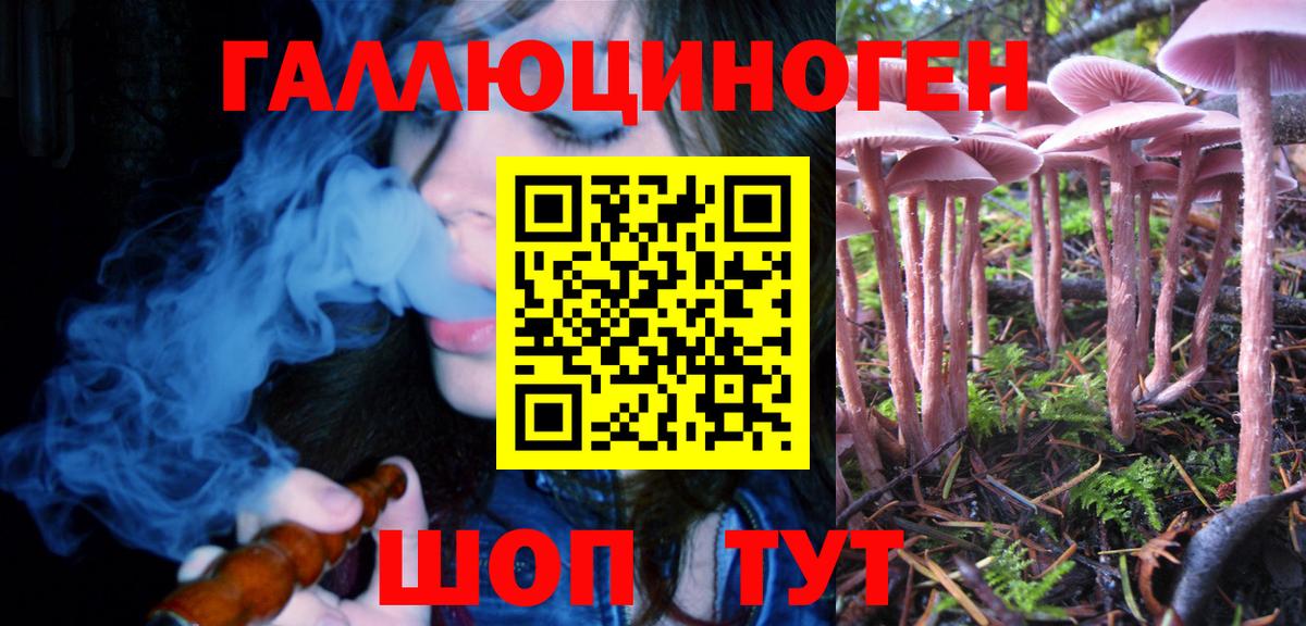 Галлюциногенные грибы Psilocybe  Вход с VPN  Курган  Псилоцибиновые грибы Psilocybine cubensis 